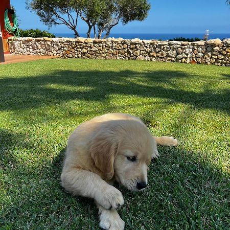 Villa Tu Pequeno Paraiso à Calafell Extérieur photo